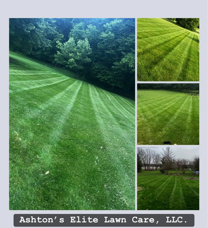Custom landscaping services in Sherman, IL by Ashton’s Elite Lawn Care