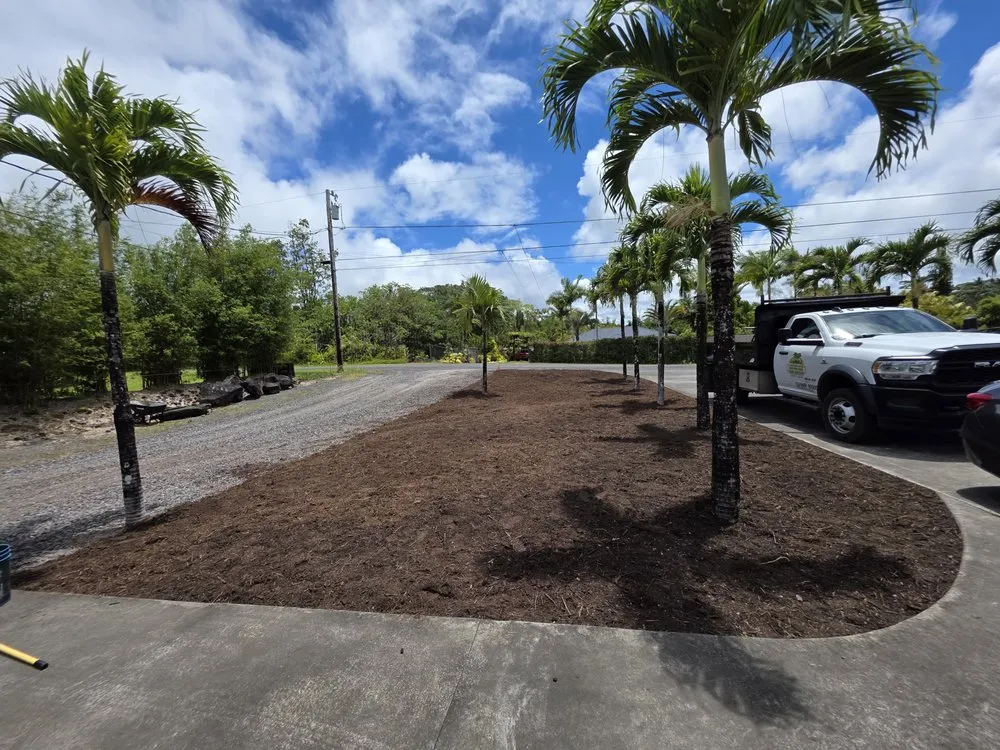 Expert yard maintenance in Hilo, HI - Ashton's Landscape & Tree Service