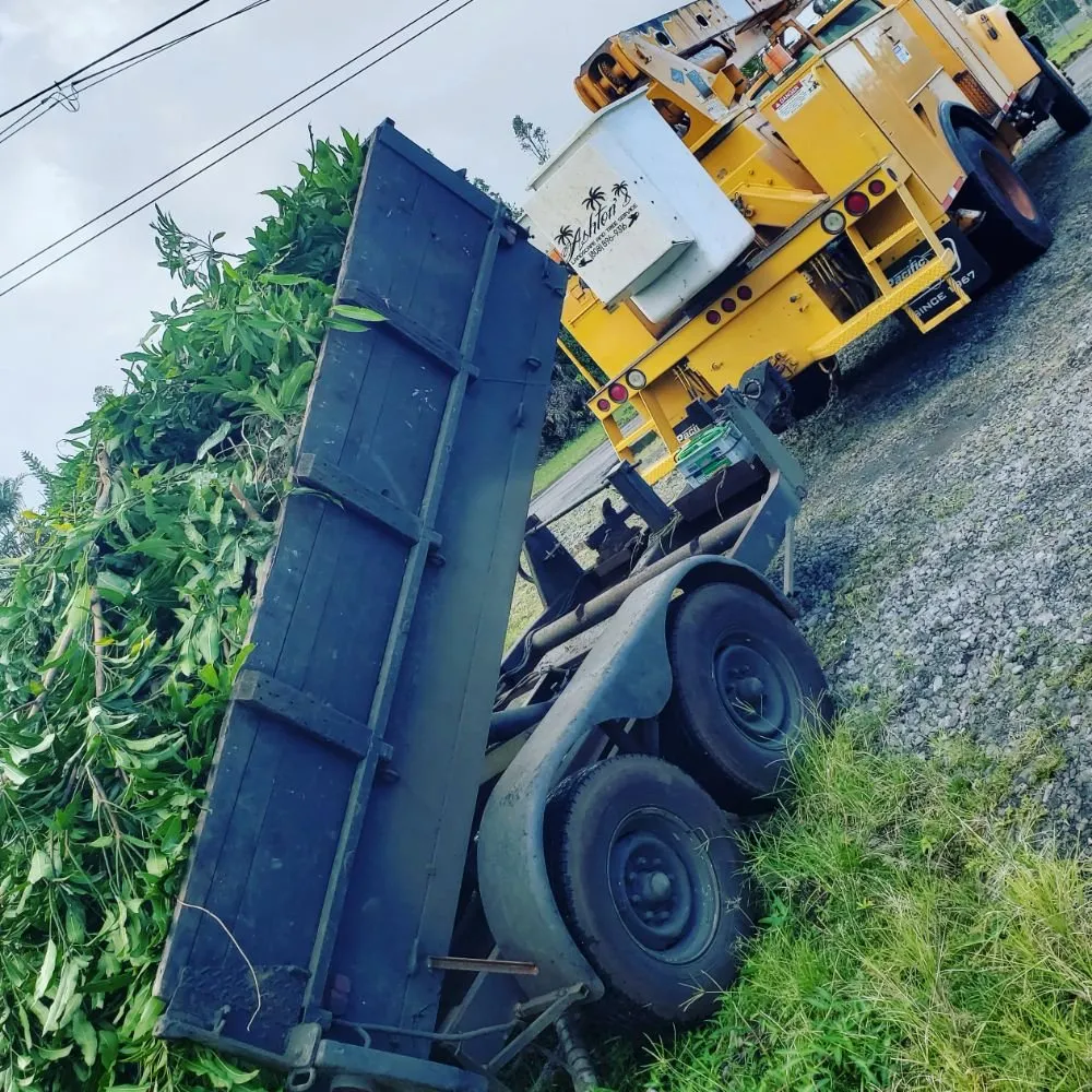 Custom landscape installation for outdoor upgrades across Hilo, HI - Ashton's Landscape & Tree Service