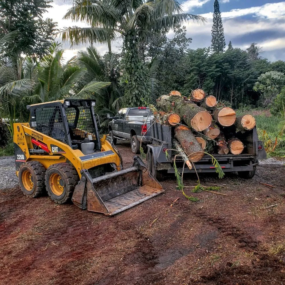 Custom yard cleanup service for beautiful yards across Hilo, HI - Ashton's Landscape & Tree Service