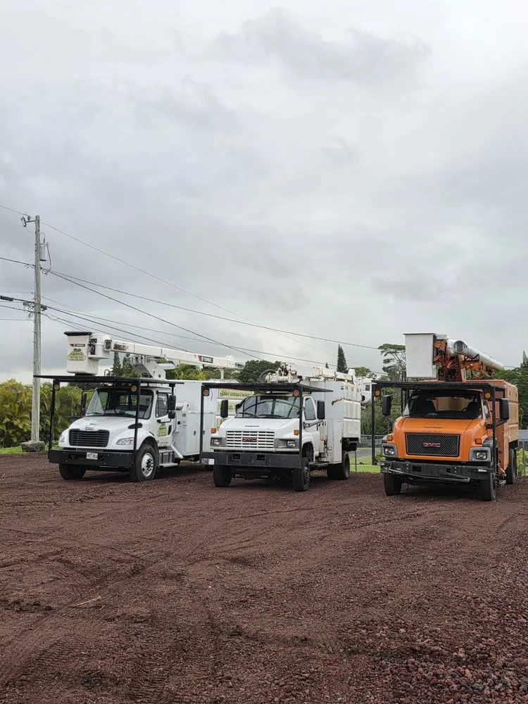 Affordable lawn care service with custom design in Hilo, HI by Ashton's Landscape & Tree Service