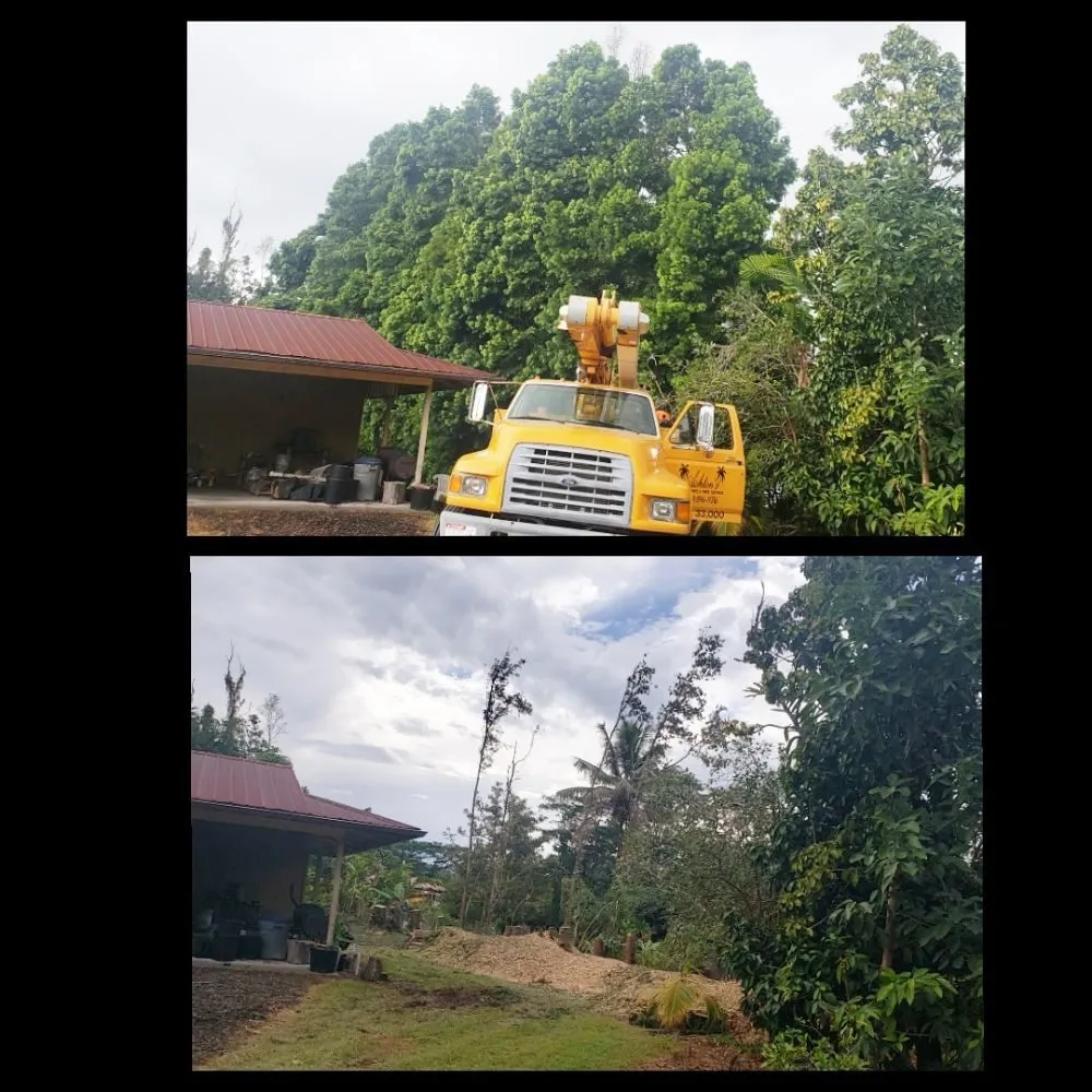 Professional landscape installation experts serving Hilo, HI - Ashton's Landscape & Tree Service