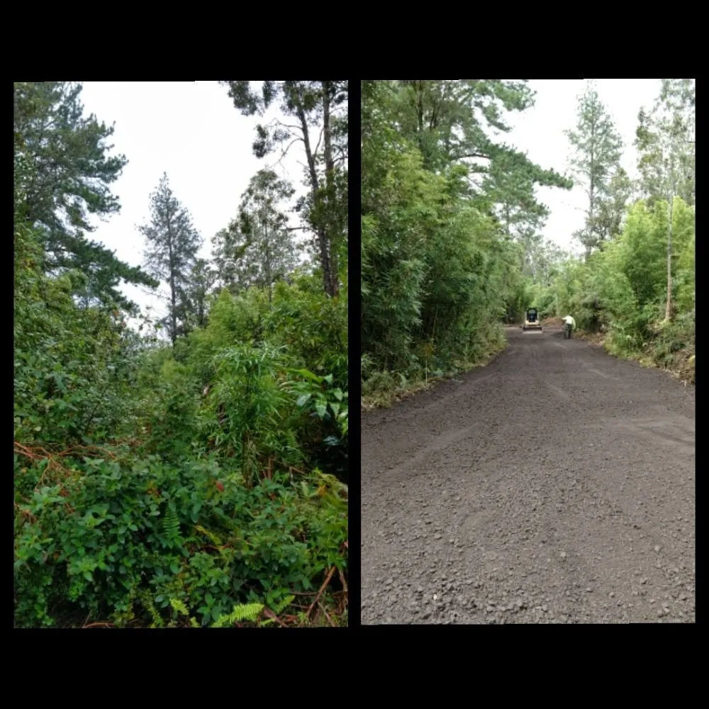 Top-rated yard maintenance experts serving Hilo, HI - Ashton's Landscape & Tree Service