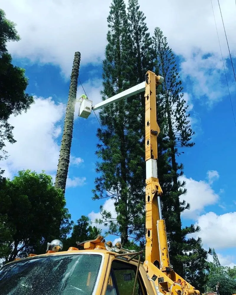 Affordable residential landscaping for homes in Hilo, HI by Ashton's Landscape & Tree Service
