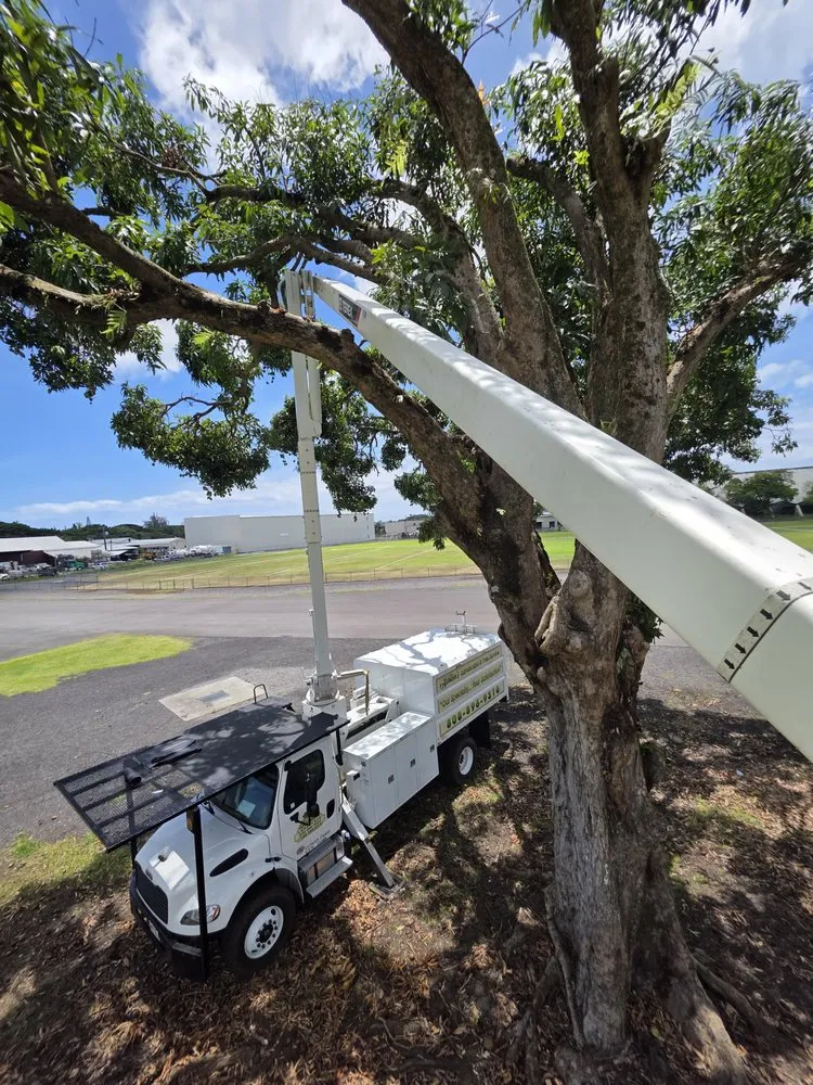 Expert residential landscaping in Hilo, HI - Ashton's Landscape & Tree Service
