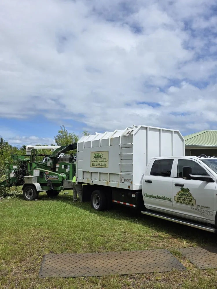 Top-rated residential landscaping in Hilo, HI by Ashton's Landscape & Tree Service