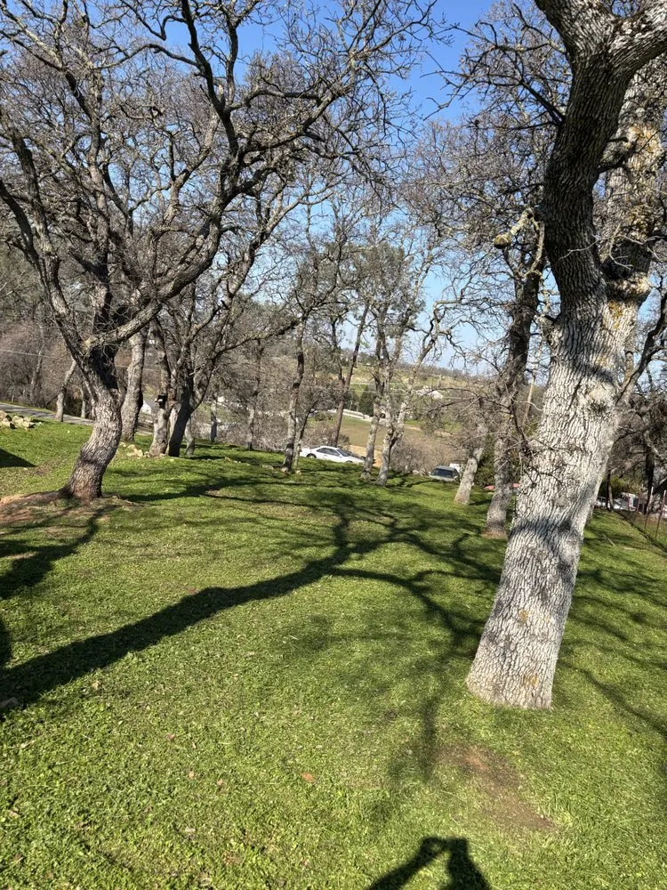 Reliable outdoor landscaping in Valley Springs, CA by Ashtons Yard Maintenance