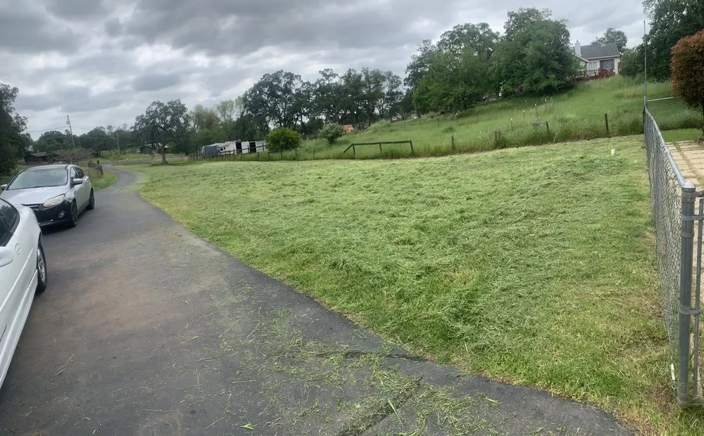 Professional lawn care service in Valley Springs, CA by Ashtons Yard Maintenance