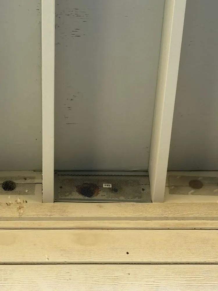 Affordable landscaping services near you across Valley Springs, CA - Ashtons Yard Maintenance