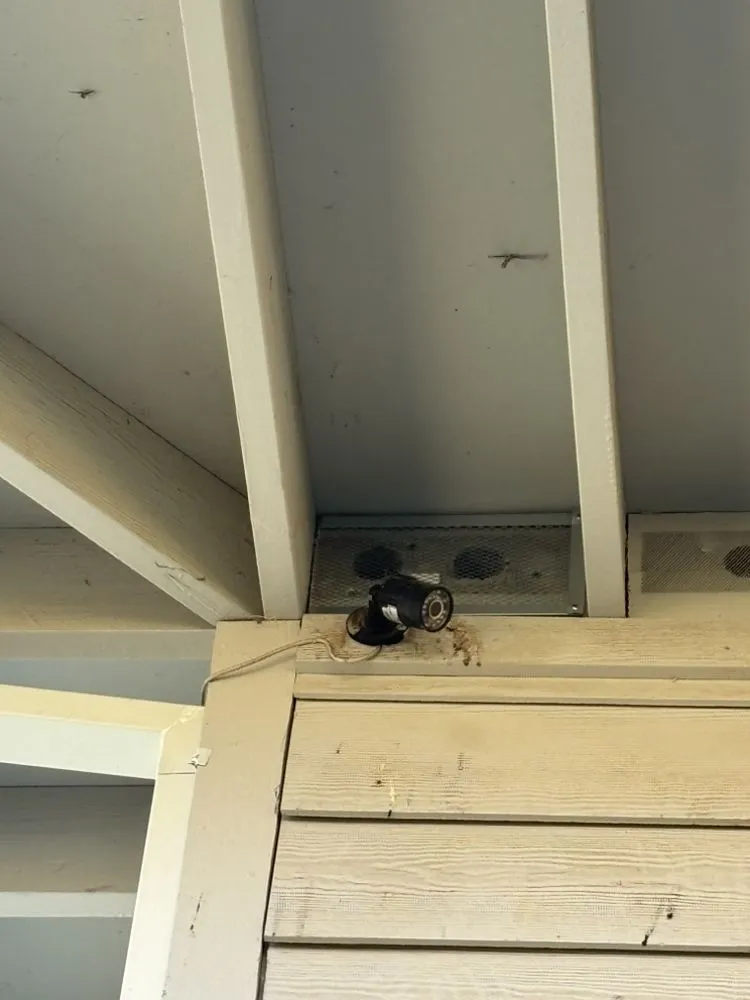 Expert yard cleanup service in Valley Springs, CA - Ashtons Yard Maintenance