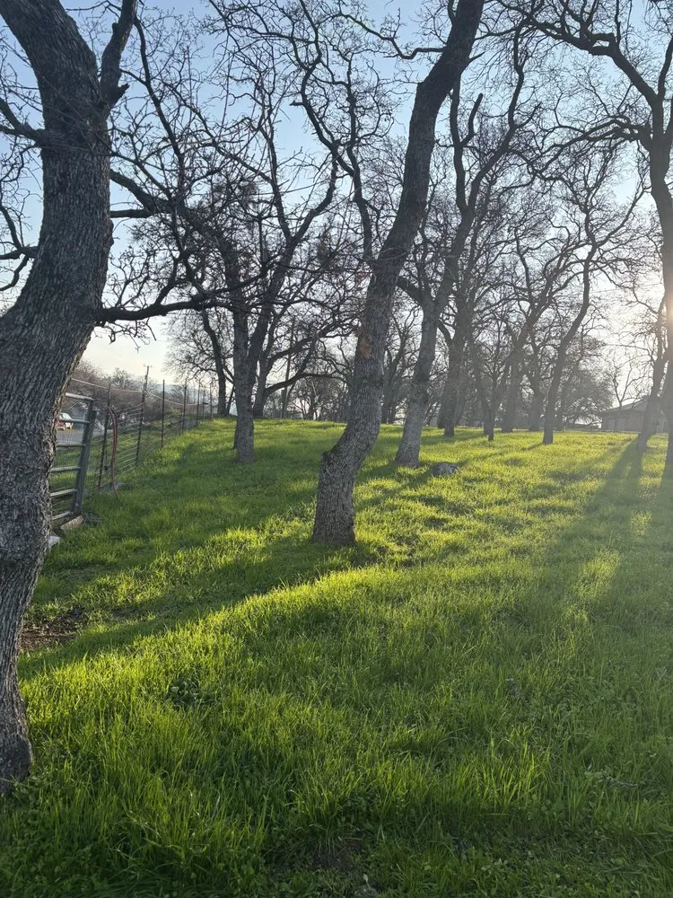 Top-rated residential landscaping for residential properties across Valley Springs, CA - Ashtons Yard Maintenance