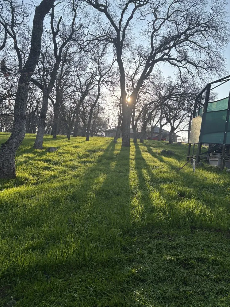 Trusted landscape installation experts serving Valley Springs, CA - Ashtons Yard Maintenance