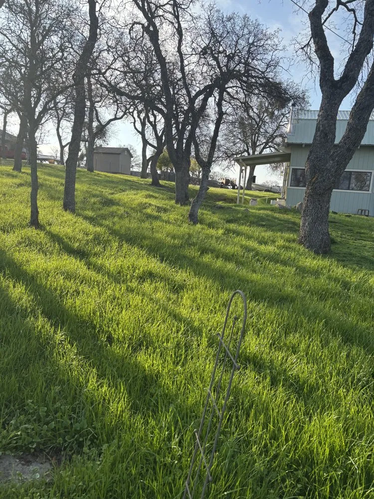 Professional landscape design experts serving Valley Springs, CA - Ashtons Yard Maintenance