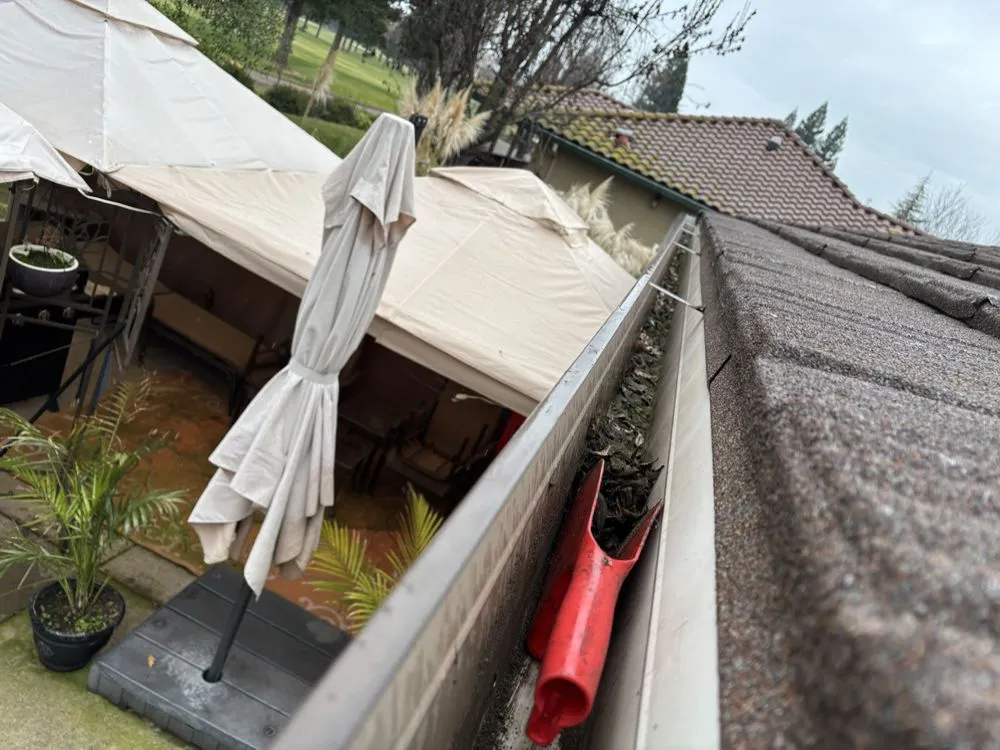 Trusted lawn mowing service in Valley Springs, CA by Ashtons Yard Maintenance