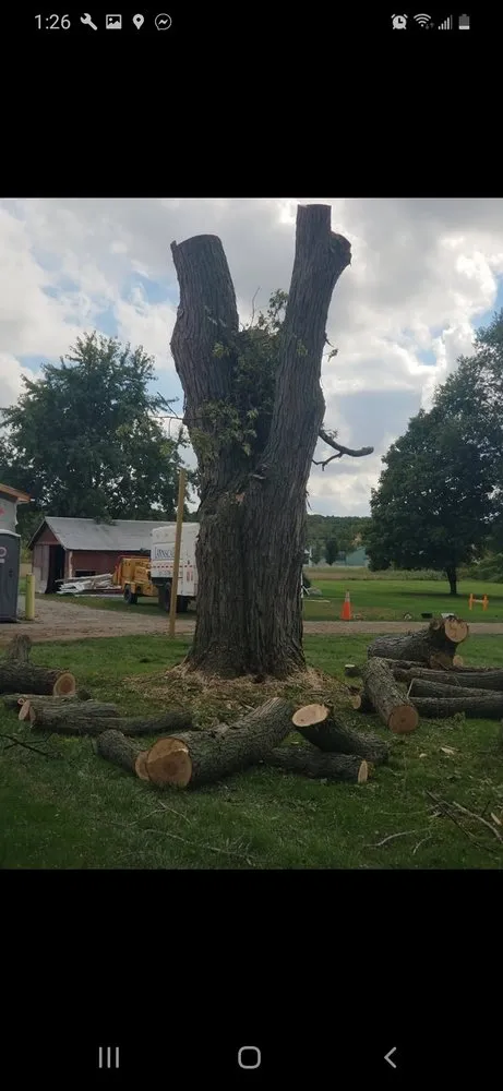 Local landscape installation in Spencerville, IN - Ashtyns Hauling