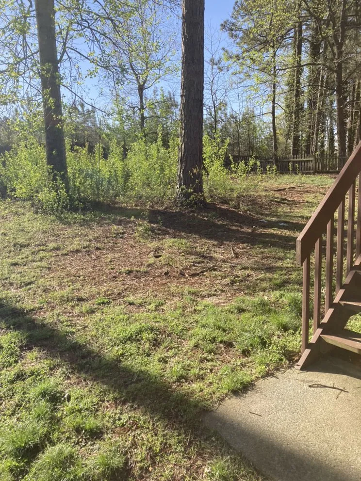 Affordable residential landscaping for outdoor upgrades across Marietta, GA - Ashwood Landscape