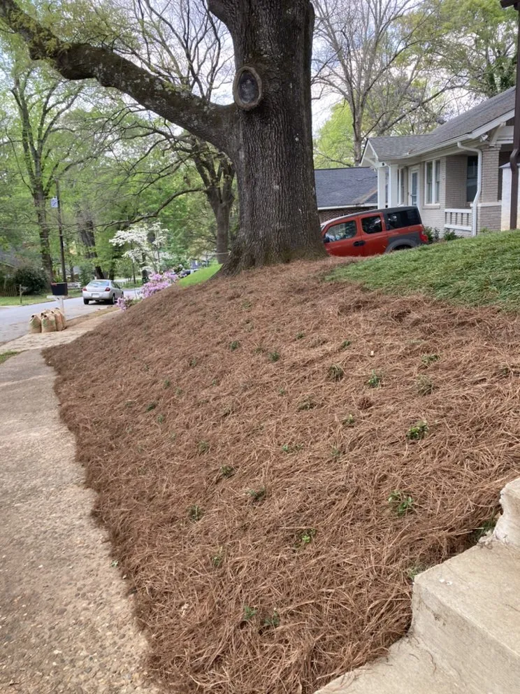 Local yard maintenance experts serving Marietta, GA - Ashwood Landscape