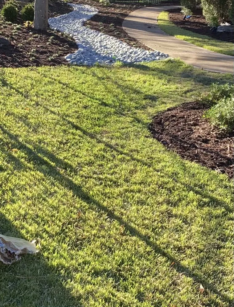 Professional yard cleanup service in Marietta, GA - Ashwood Landscape