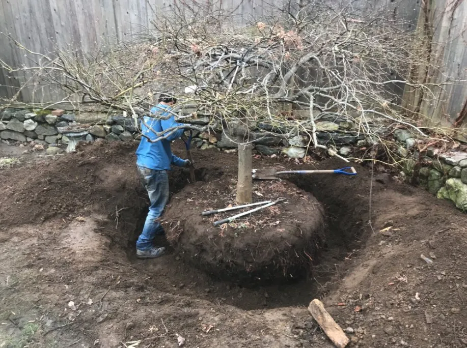 Custom garden landscaping for residential properties in New Milford, CT by Ashwood Property Care