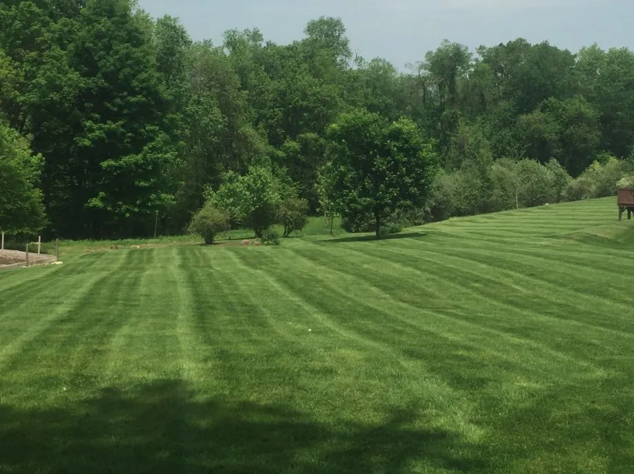 Reliable lawn mowing service experts serving New Milford, CT - Ashwood Property Care