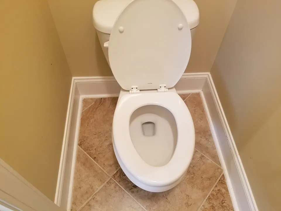 Top-rated yard cleanup service experts serving West Columbia, SC - Ashworth Clean Up Crew