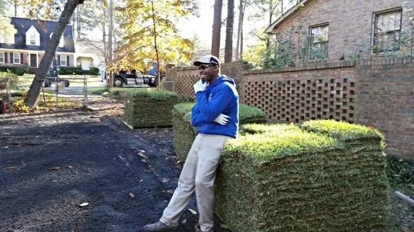 Affordable yard cleanup service experts serving West Columbia, SC - Ashworth Clean Up Crew