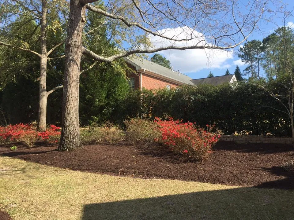 Reliable garden landscaping experts serving West Columbia, SC - Ashworth Clean Up Crew