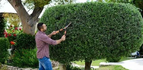 Trusted landscape design in Muskego, WI by ASI Achtenhagen Services