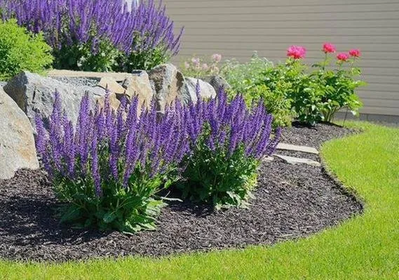 Top-rated garden landscaping for beautiful yards across Muskego, WI - ASI Achtenhagen Services