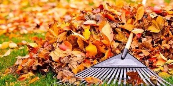 Local garden landscaping in Muskego, WI by ASI Achtenhagen Services