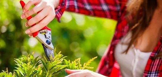 Reliable lawn mowing service in Muskego, WI by ASI Achtenhagen Services