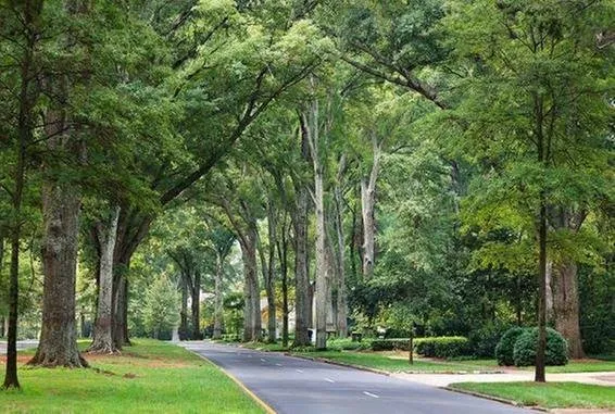 Expert garden landscaping for year-round maintenance in Muskego, WI by ASI Achtenhagen Services