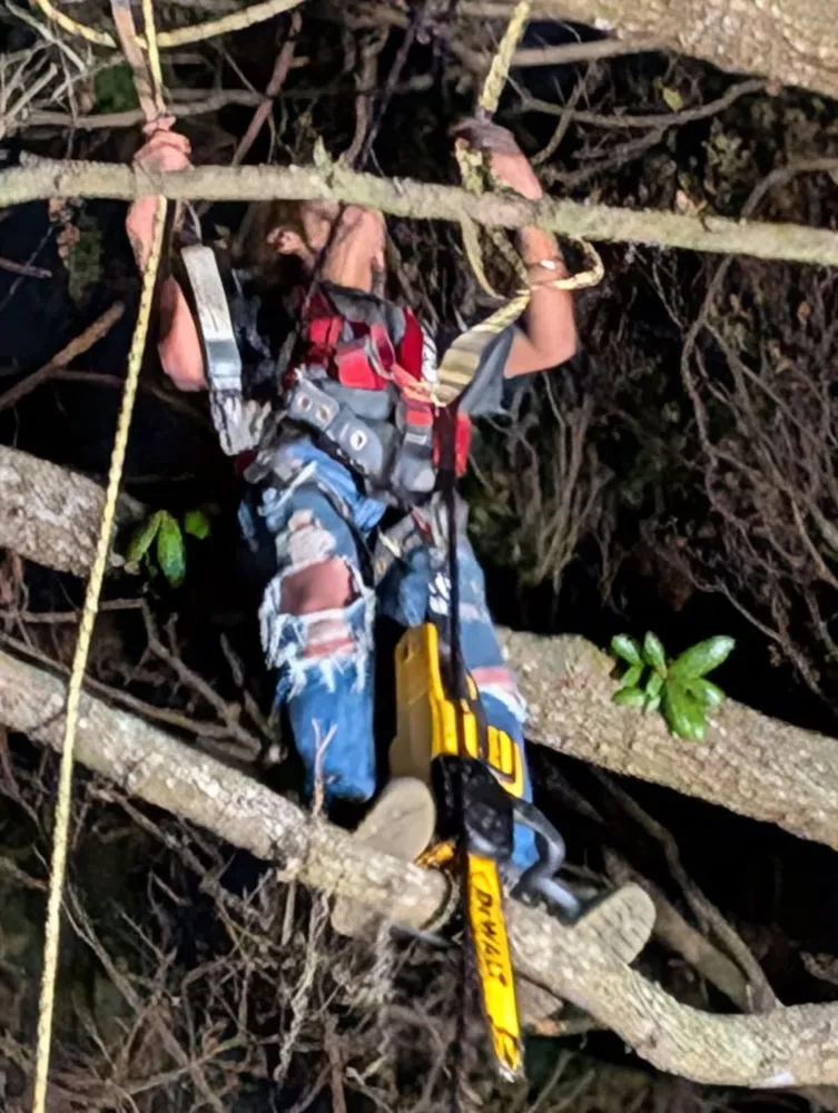 Trusted landscape installation experts serving Jacksonville, FL - Asia's Trees and Landscaping