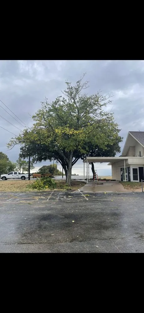 Trusted landscaping services in Burleson, TX - ASK Anything