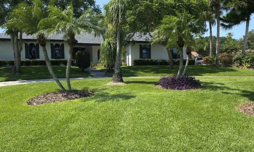 Expert lawn care service for beautiful yards across DeLand, FL - Ask For Paul Cuts And Services