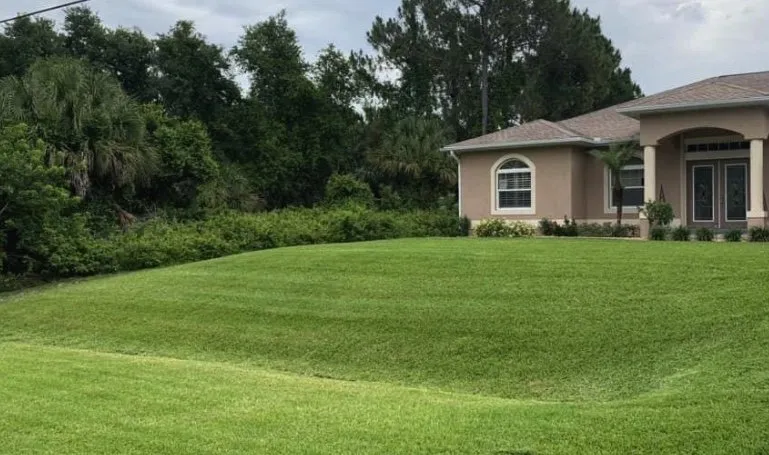 Professional garden landscaping in DeLand, FL by Ask For Paul Cuts And Services