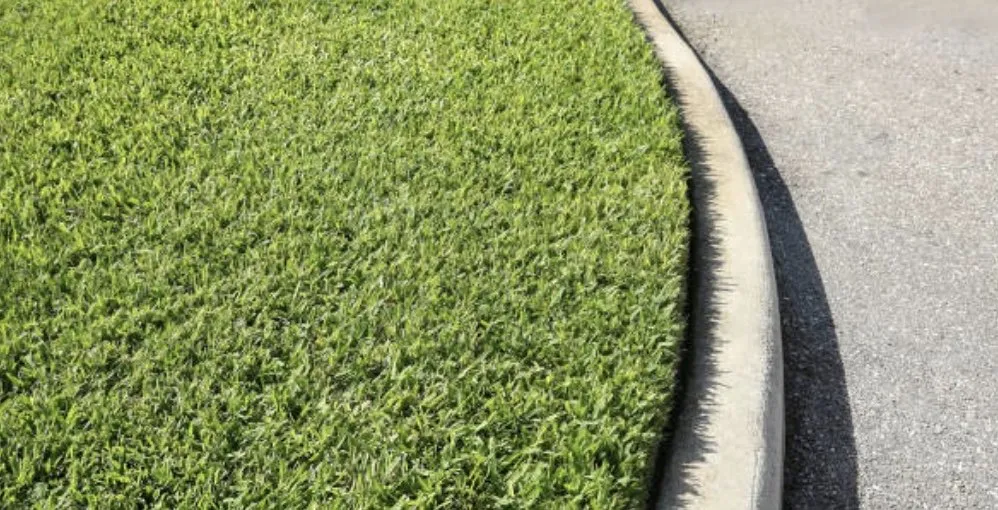 Custom yard cleanup service experts serving DeLand, FL - Ask For Paul Cuts And Services