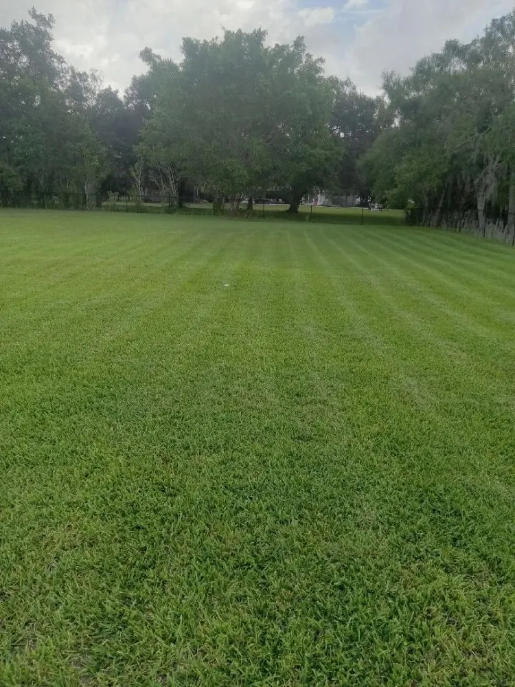 Custom landscape design experts serving Bradenton, FL - Ask Me How