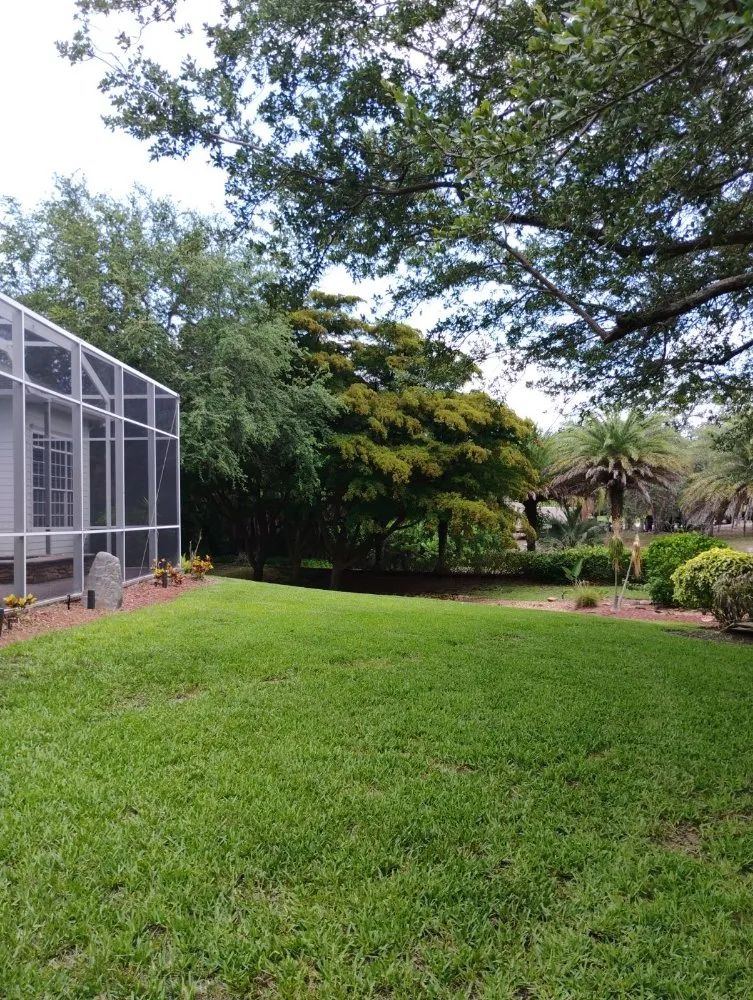 Custom yard cleanup service near you in Bradenton, FL by Ask Me How