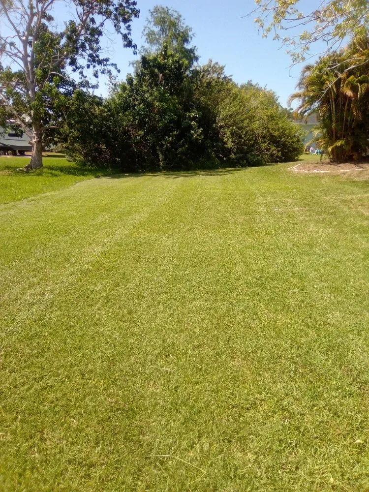 Professional outdoor landscaping in Bradenton, FL - Ask Me How