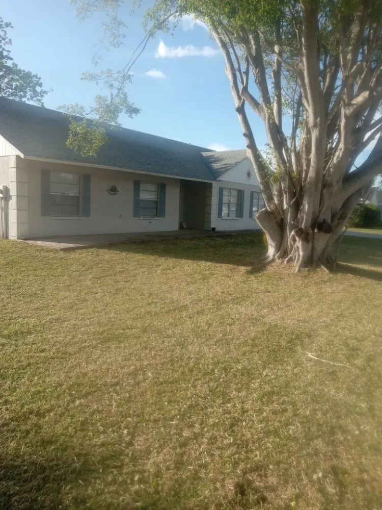 Local yard maintenance experts serving Bradenton, FL - Ask Me How