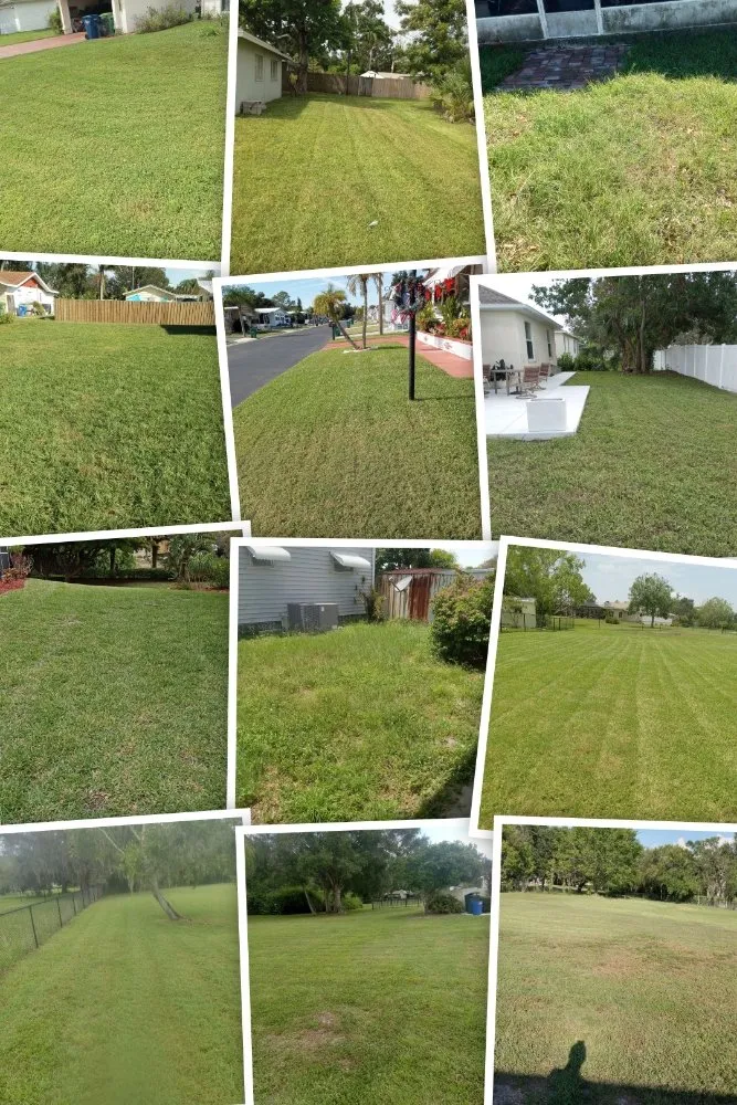 Trusted lawn mowing service experts serving Bradenton, FL - Ask Me How