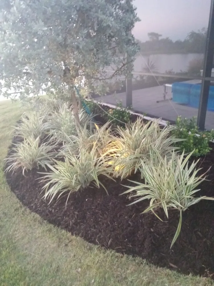 Top-rated outdoor landscaping in Bradenton, FL by Ask Me How