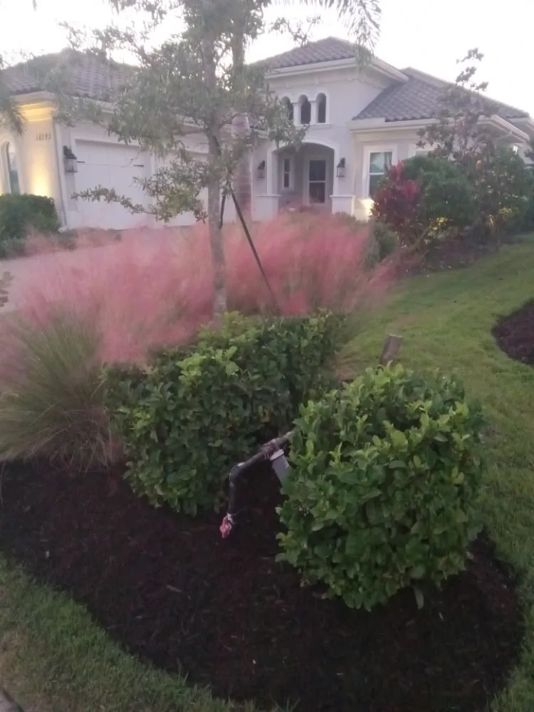 Professional landscape installation for year-round maintenance in Bradenton, FL by Ask Me How