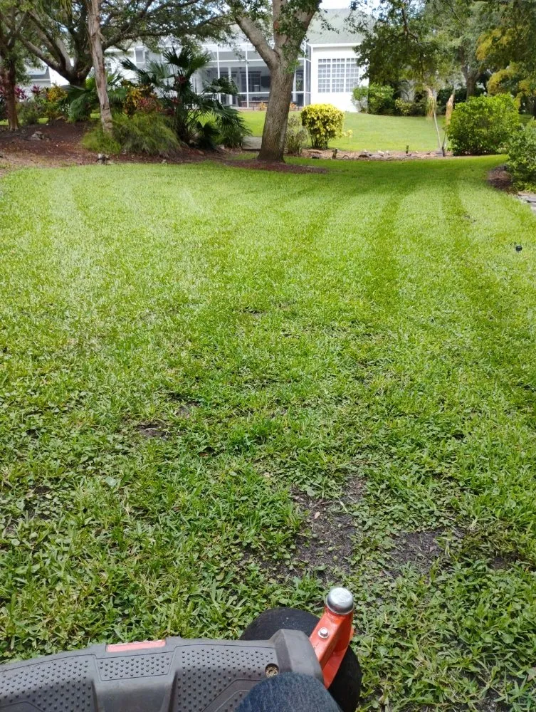 Local outdoor landscaping in Bradenton, FL by Ask Me How