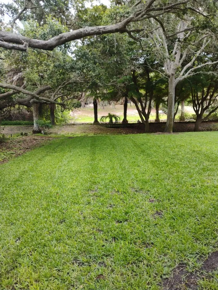 Trusted outdoor landscaping with custom design across Bradenton, FL - Ask Me How