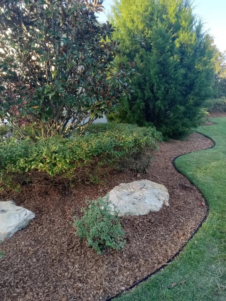 Reliable landscape design for year-round maintenance across Bradenton, FL - Ask Me How