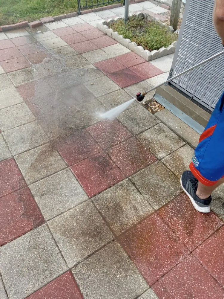 Trusted lawn care service for beautiful yards across Bradenton, FL - Ask Me How