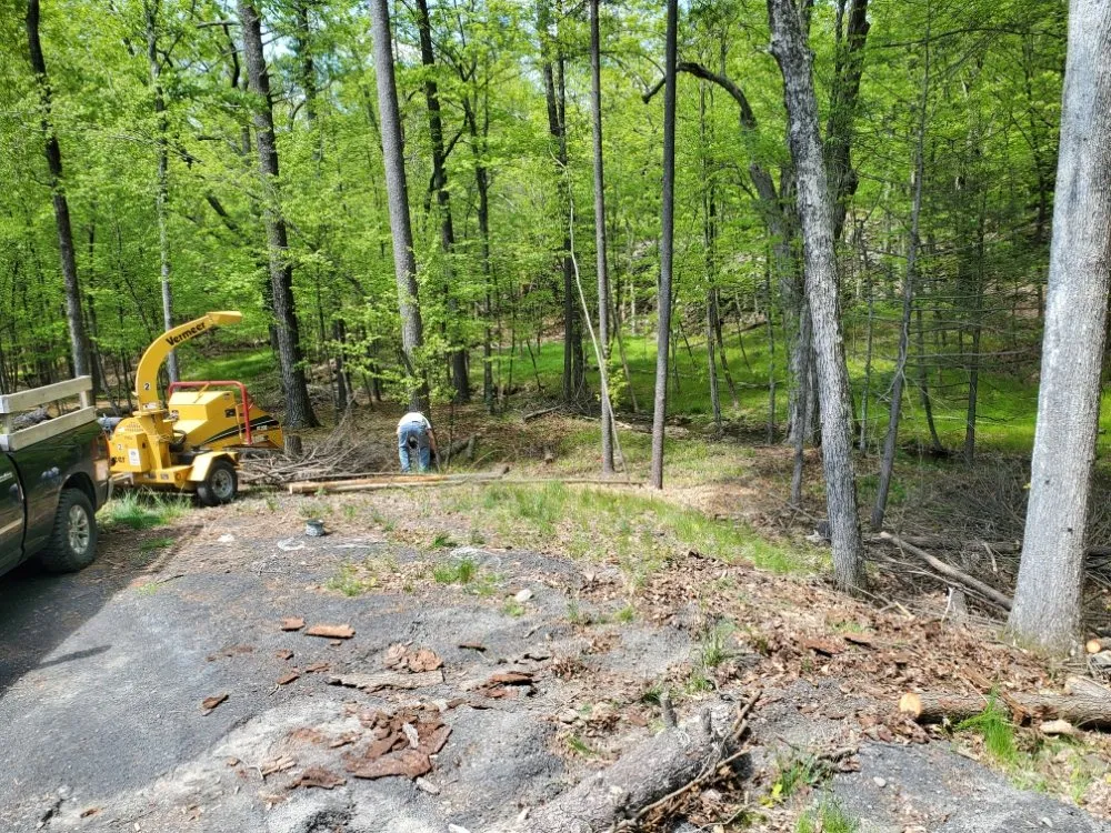Trusted lawn mowing service in Saugerties, NY - Ask Mike