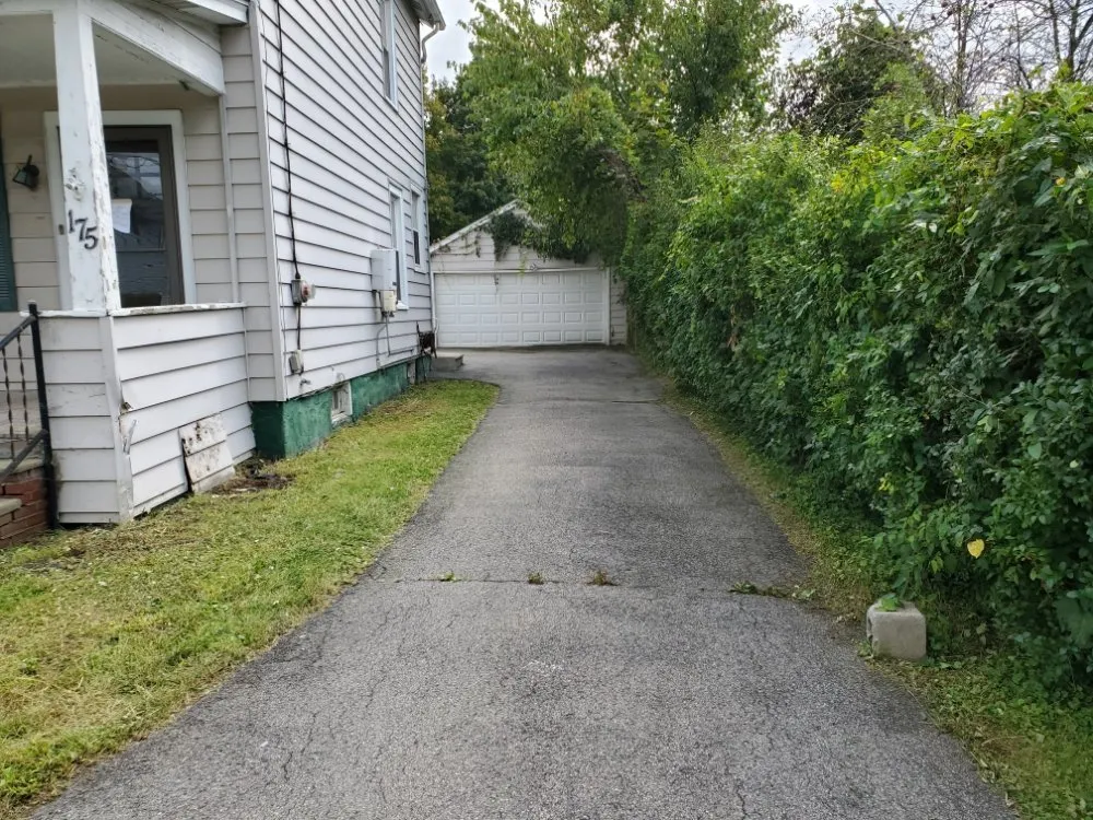 Expert yard cleanup service for residential properties across Saugerties, NY - Ask Mike